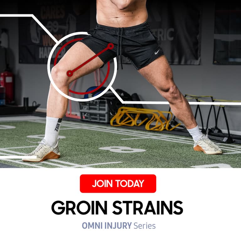 Groin