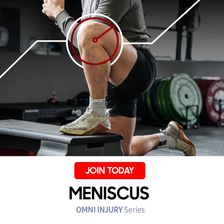 Meniscus