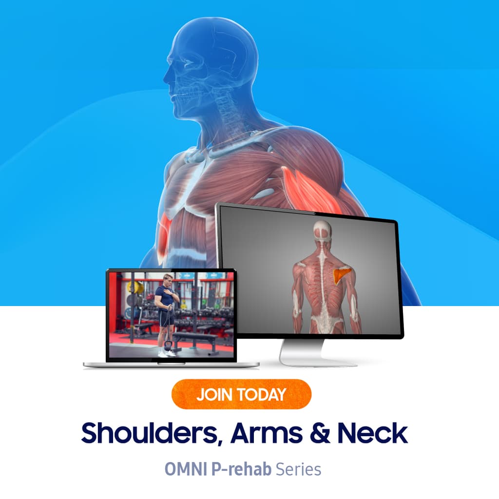 SHOULDERS, ARMS & NECK