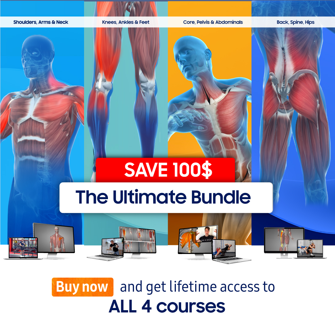 The Ultimate Bundle